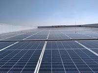 Ver grande foto ags280